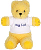 PLAYSCHOOL Big Ted Beanie 18cm