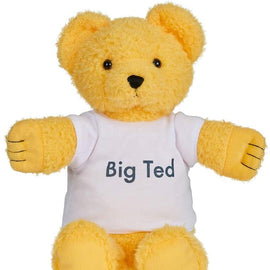 PLAYSCHOOL Big TED Plush Figures