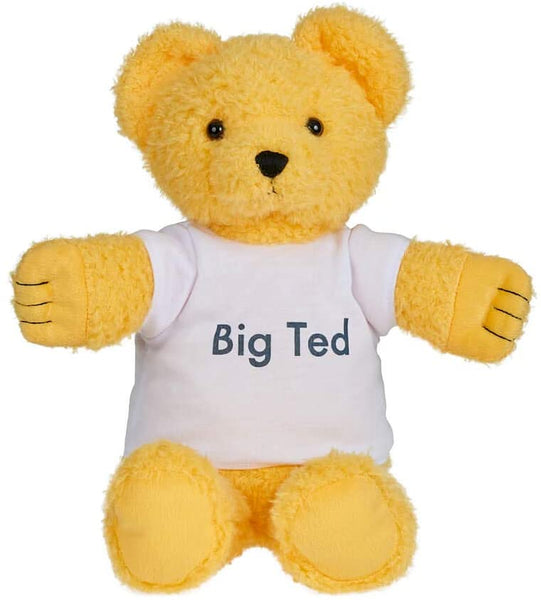 PLAYSCHOOL Big TED Plush Figures