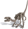 4M KidzLabs Dig a Dinosaur Velociraptor
